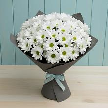 Букет белые хризантемы #REPLACE_PRED# Григорово Букет цветов из:  Хризантемы #REPLACE_PRED# Григорово
